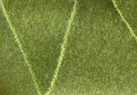 Gorgeous Heathered Lime Zest Shetland Wool (Made in England)