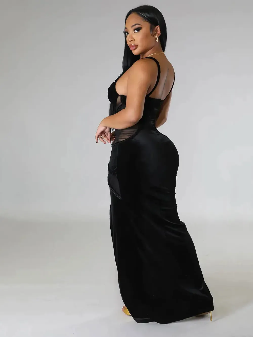 Moraine Sheer Velvet Bodycon Dress