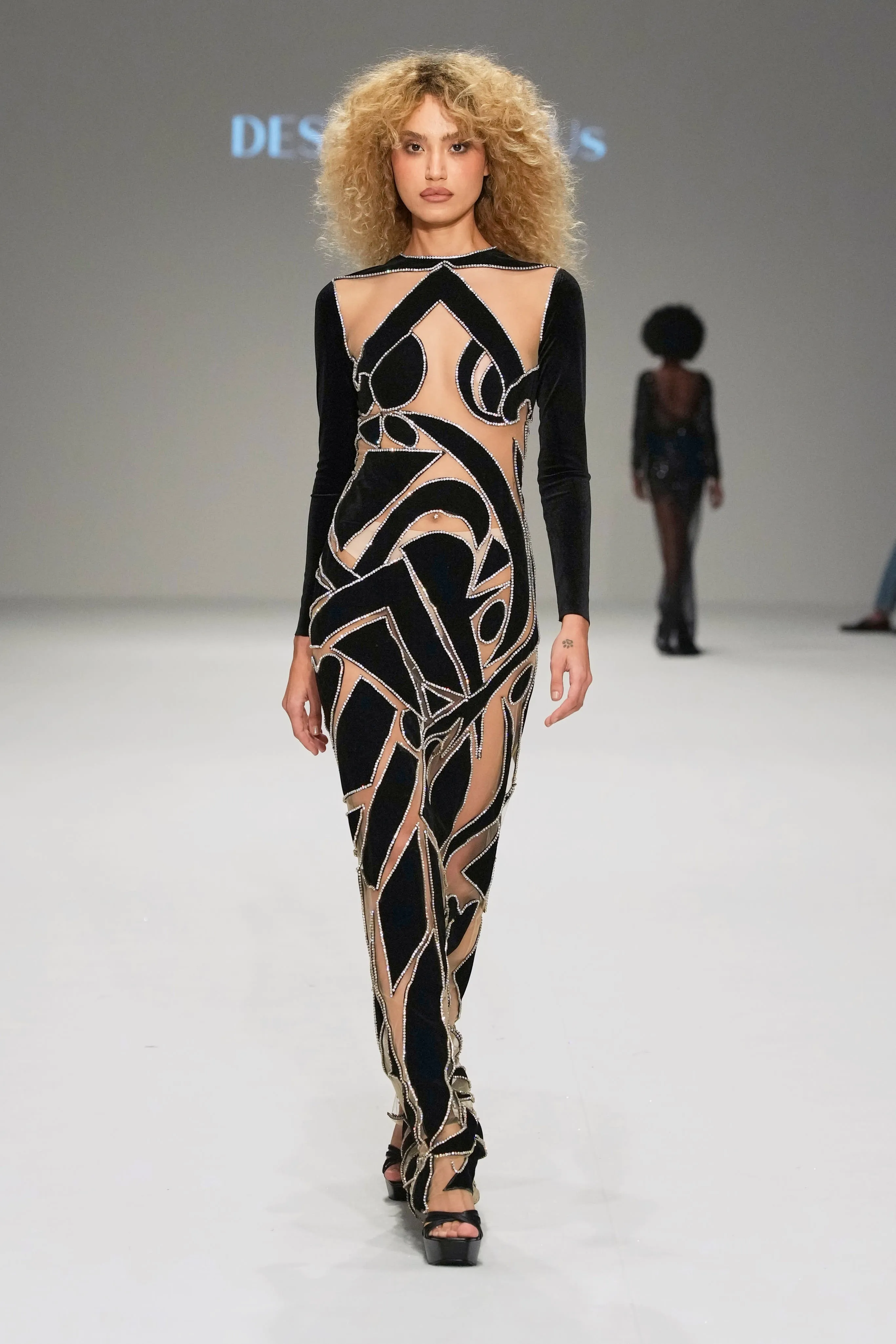 Swan Lake Noir Velvet Dress