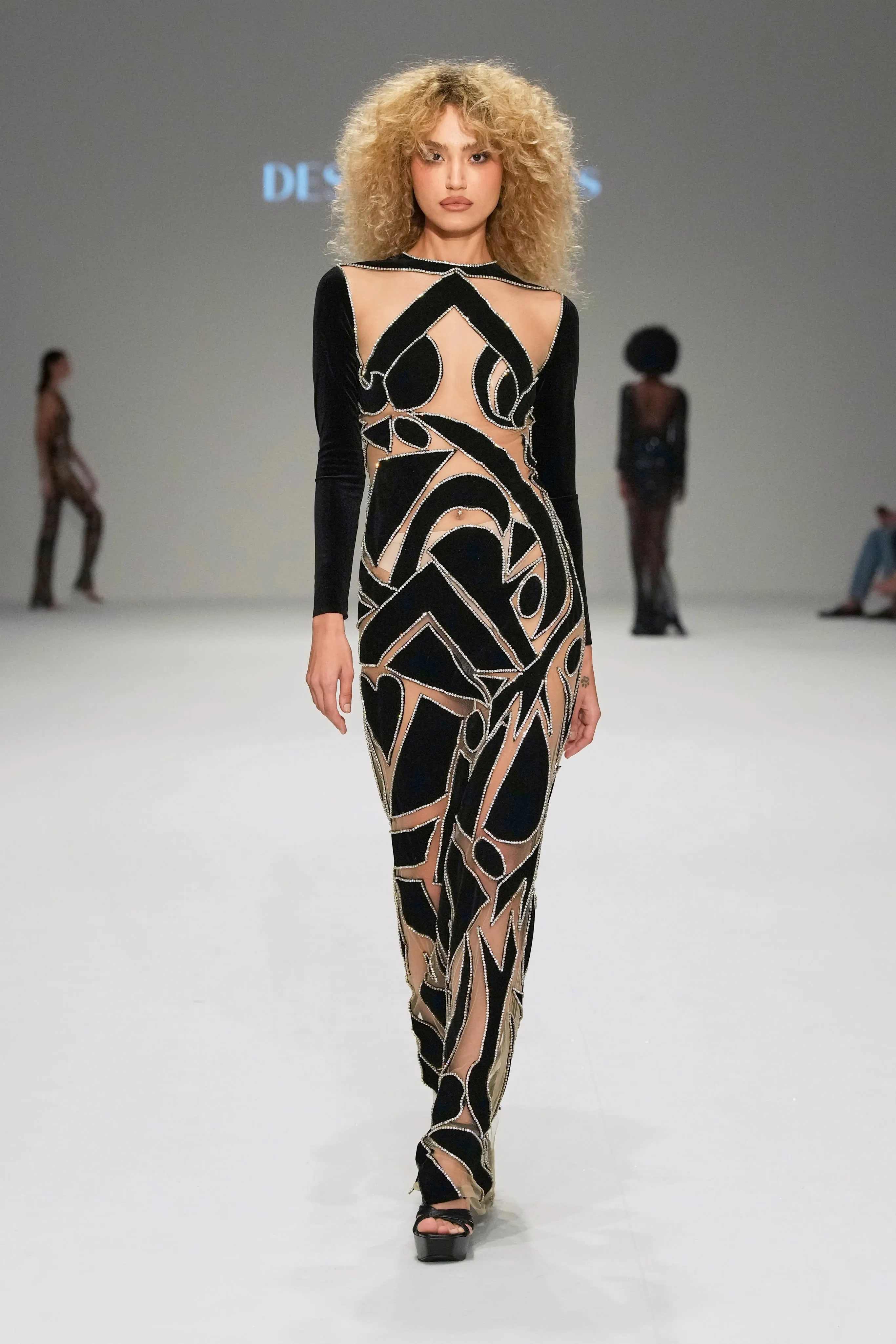 Swan Lake Noir Velvet Dress